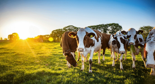 Precision Flow Solutions - On Farm